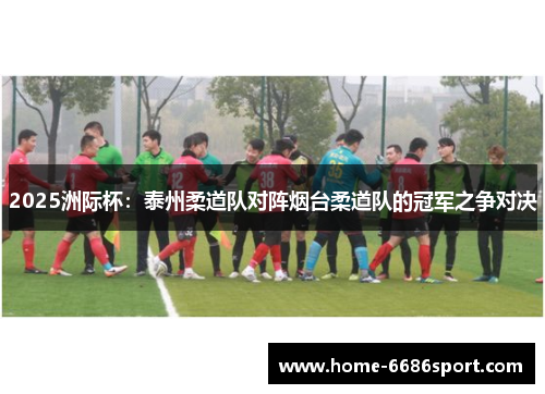 2025洲际杯：泰州柔道队对阵烟台柔道队的冠军之争对决